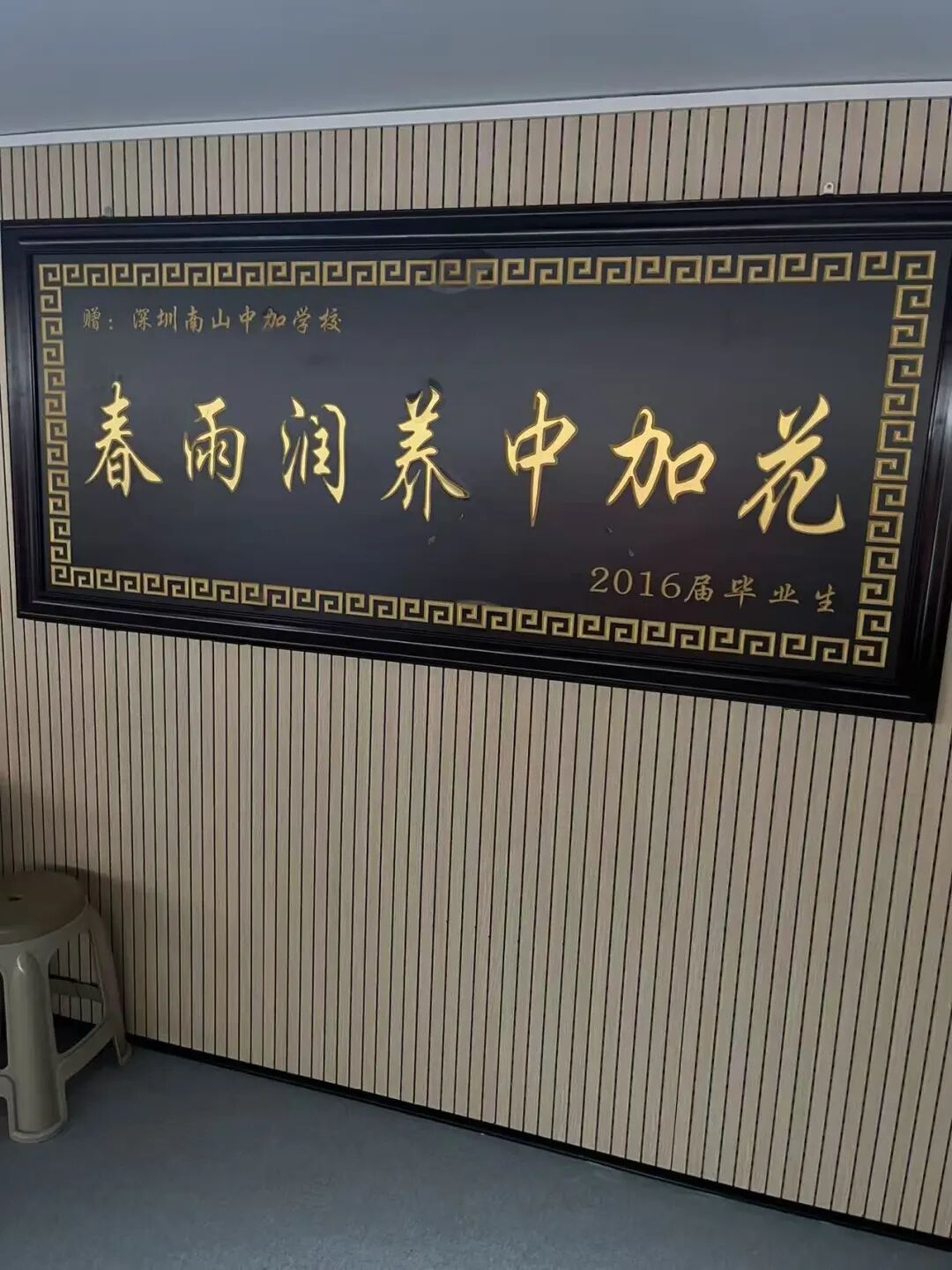 undefined 【星耀2026 · 从“新”启程】|谷萏舒:勇于尝试 积极探索